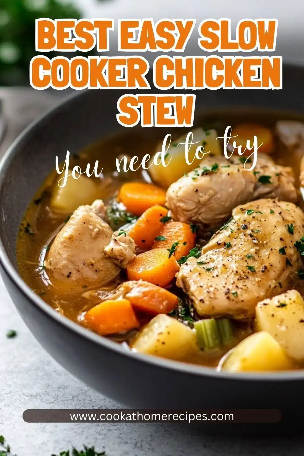 Slow Cooker Chicken Stew Recipe